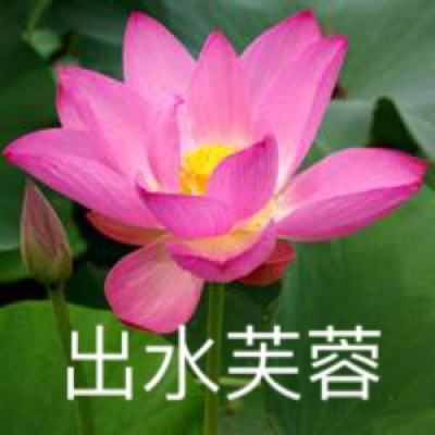 光速英雄手游下载